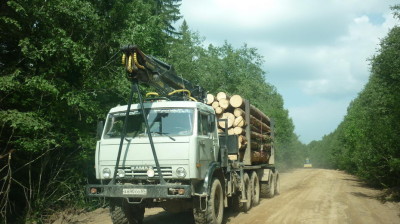 С лесозаготовителями есть договорённость о неиспользовании основной дороги