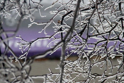 Ледяной дождь. Фото: ntv.ru