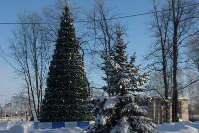Новогодняя елка в Городском саду Лихославля. Фото: Городской сад