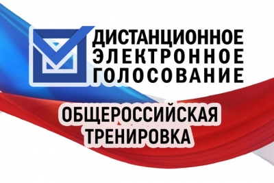 Жителей Тверской области приглашают принять участие в тестировании системы дистанционного электронного голосования