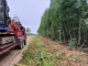 В Лихославльском муниципальном округе производится опиловка древесной растительности полосы отвода дорог